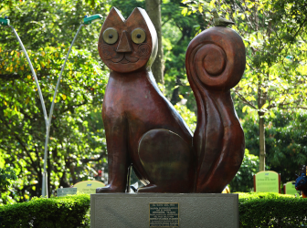 From Coffee to the Pacific: Rhythm & Nature 