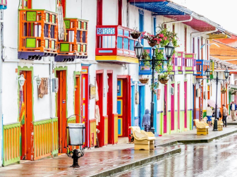 From Coffee to the Pacific: Rhythm & Nature in 10 Days