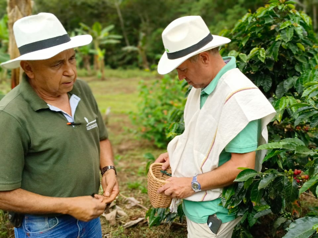 From Coffee to the Pacific: Rhythm & Nature in 10 Days