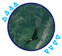 Commitment to Sustainability