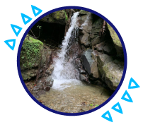 Eco-friendly experiences