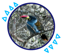 Immerse yourself in nature