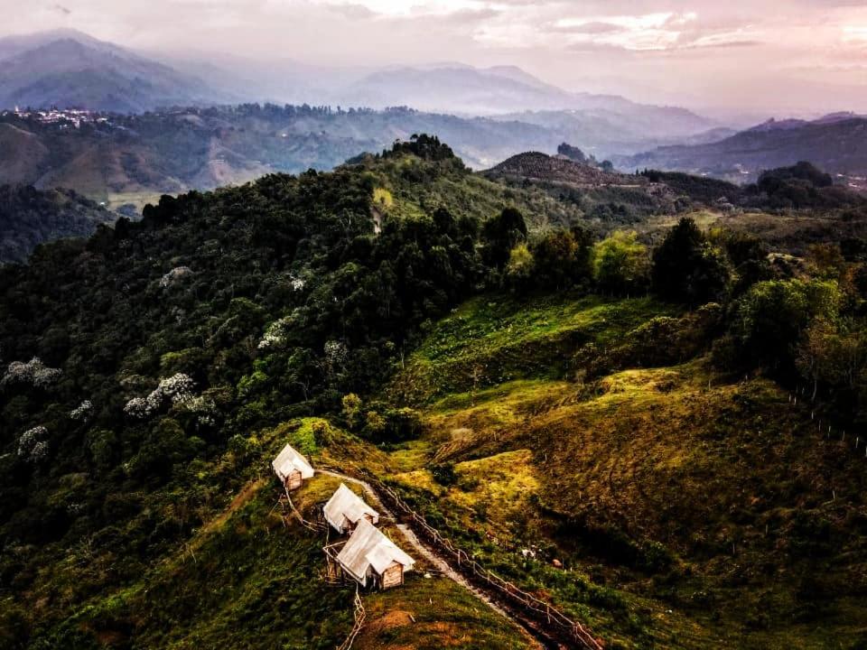 Questions and Answers