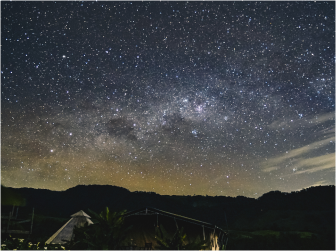 Night Safari adventure under the stars