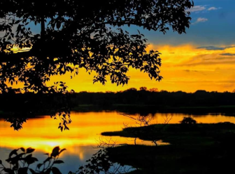 Amazonas Adventure: culture, nature and tradition