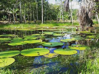 Colombia  country of unique wonders