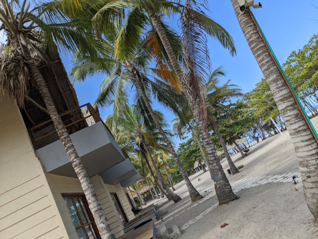 A Paradise by the Sea: Tay Beach & Tayrona