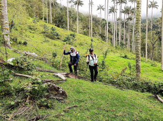 Quindio trekking adventure